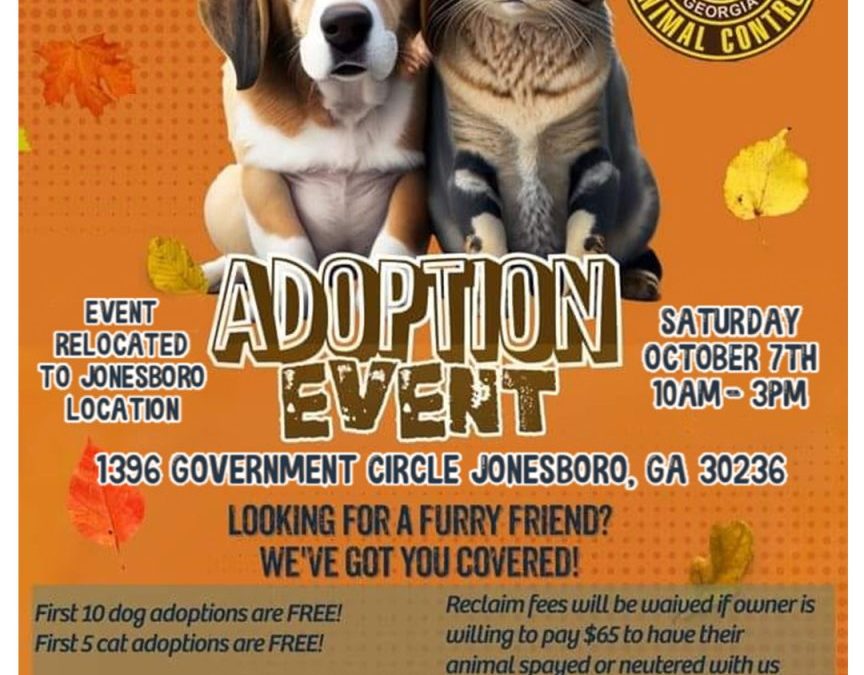 Cat & Dog Summer Adoption Event