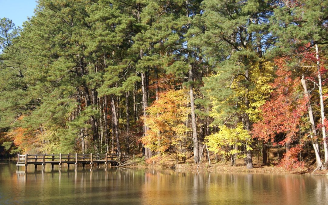 Stay Close to Home – See the Leaves Change in Clayton County