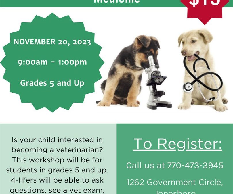 Career Readiness: Learning About Veterinary Medicine