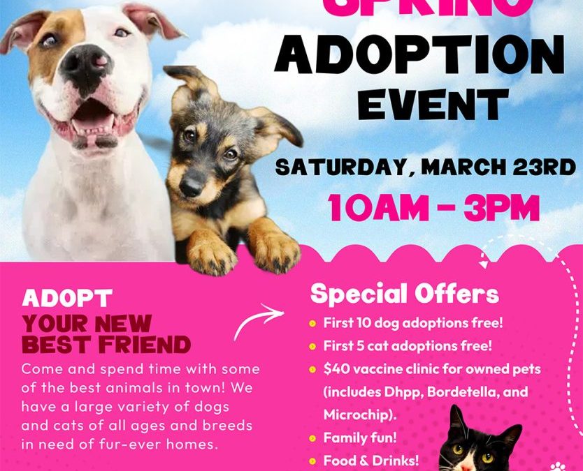 Animal Control Spring Adoption Event