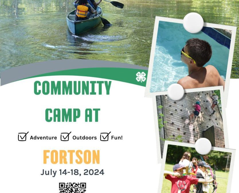 Community Camp at Forston