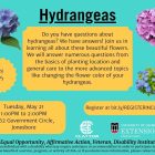 Hydrangeas Flyer